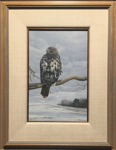 Alan Barnard - Acrylic On Board - Red Tailed Hawk