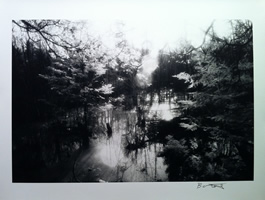 Christophe Bonniere - Fine Art Photography - Wilderness Creek