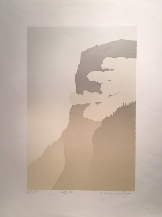 Terra Bonnieman & Maureen Sugrue - S/N Serigraph - Cliff Face