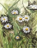 Oskar Gramann - Watercolour - Wild Flowers