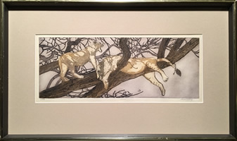 David Silverberg - S/N Etching - Lions