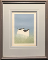 Roy Tomlinson - S/N Lithograph - Murrelets