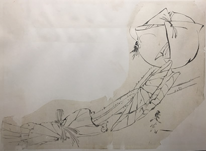 Shibata Zeshin - Ink On Paper